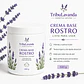 Crema base para rostro  - Miniatura 1