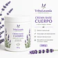 Crema base para cuerpo  - Miniatura 1