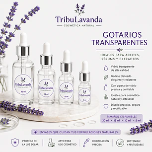 Gotario transparente 