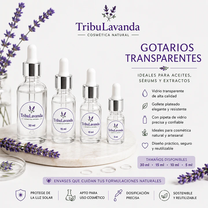 Gotario transparente  1