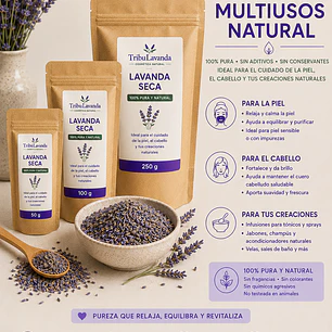 Lavanda Seca