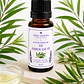 Aceite Esencial de Árbol de Té - Miniatura 1