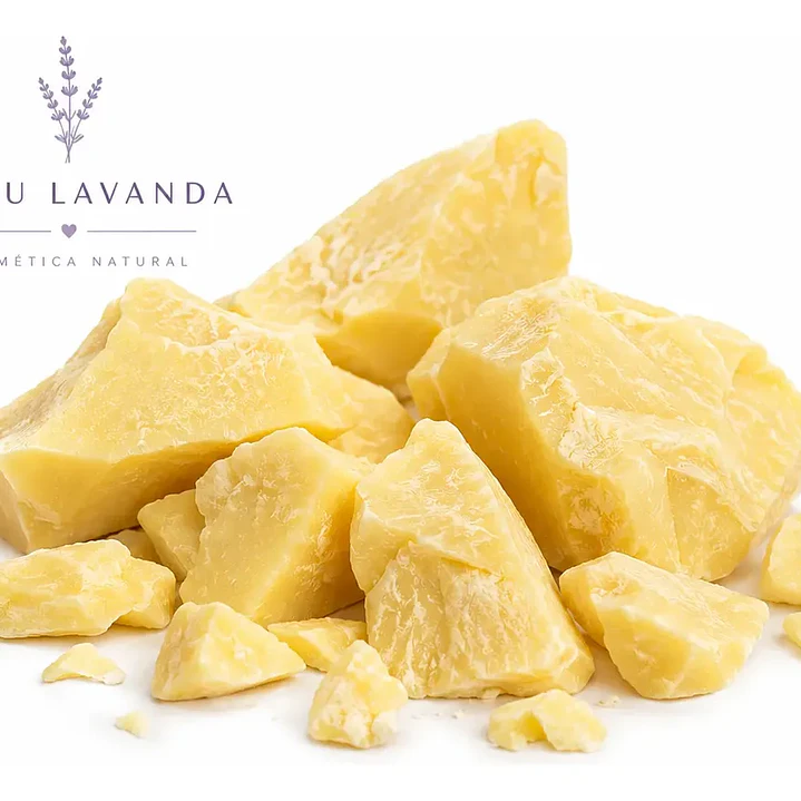 Manteca de cacao orgánica 2