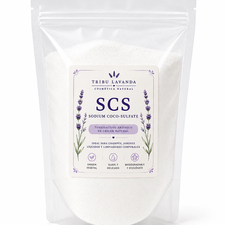 SCS 1