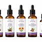 Kit Premium Aceites Vegetales – Tribu Lavanda - Miniatura 2