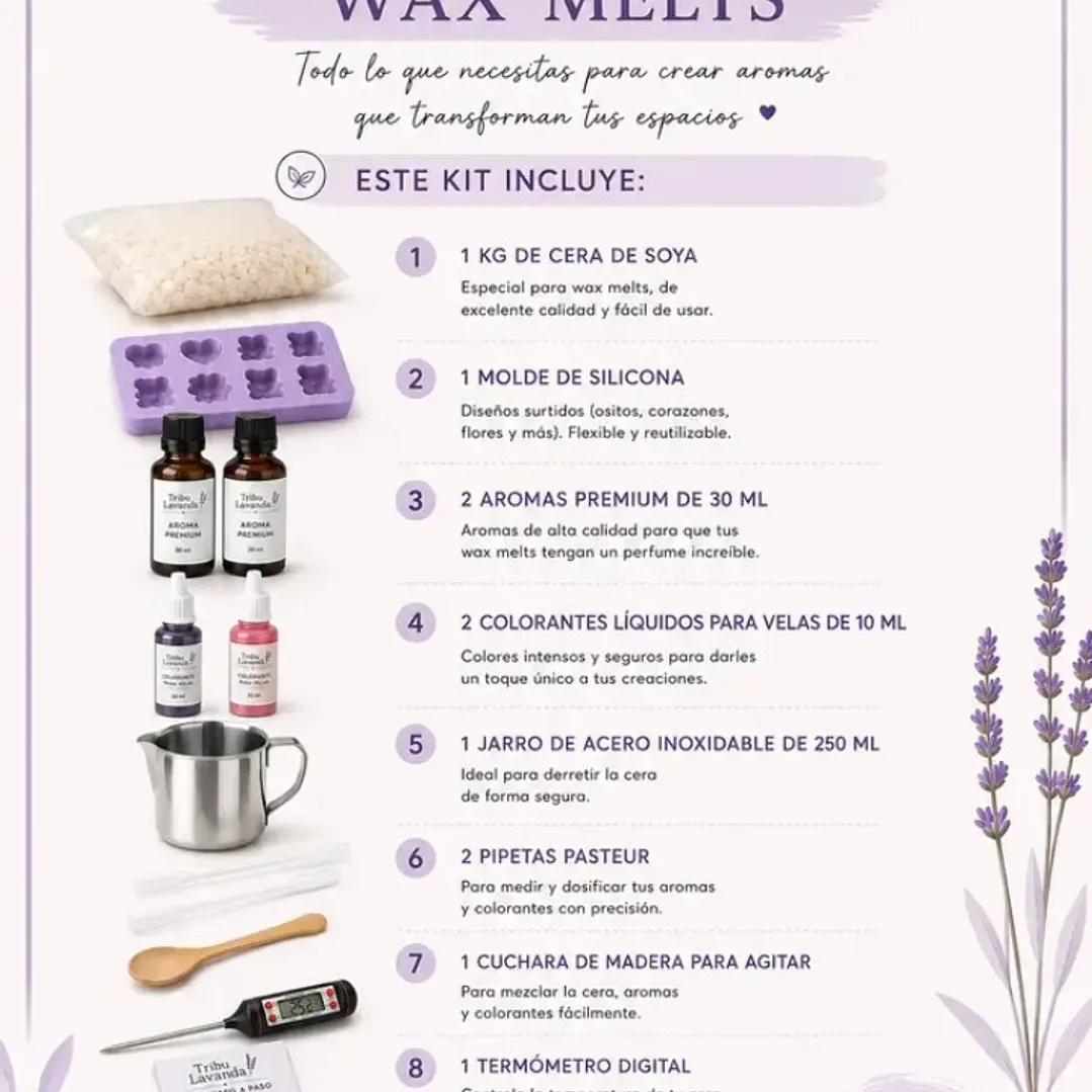 Kit para hacer Wax Melts 2