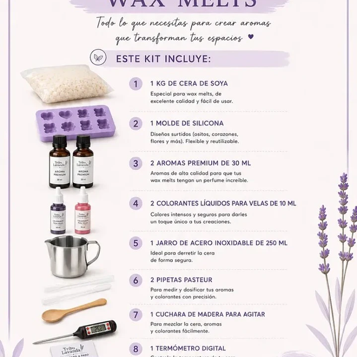 Kit para hacer Wax Melts 2