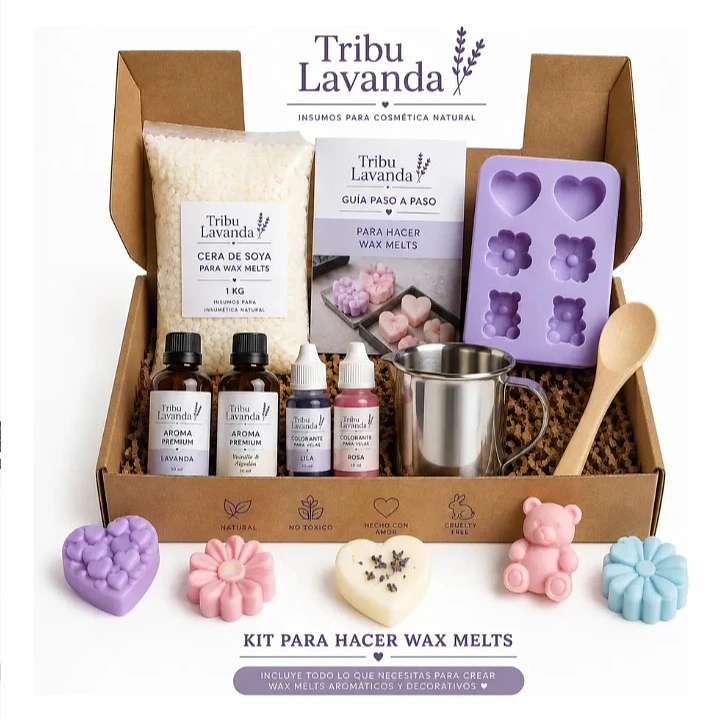 Kit para hacer Wax Melts 1