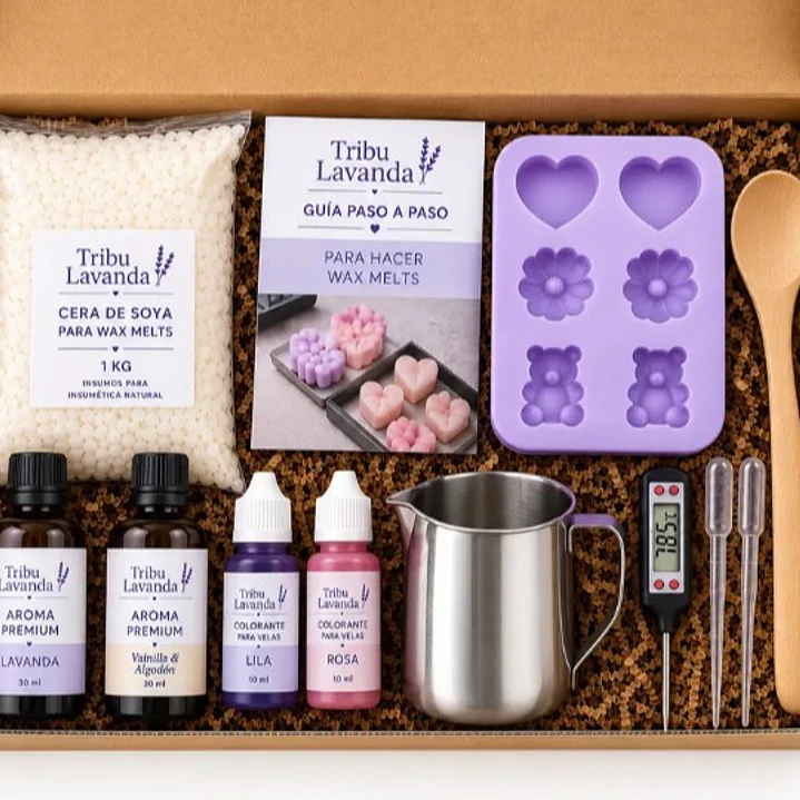 Kit para hacer Wax Melts 4