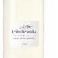 Base de Shampoo Lt y 5 lT - Miniatura 1