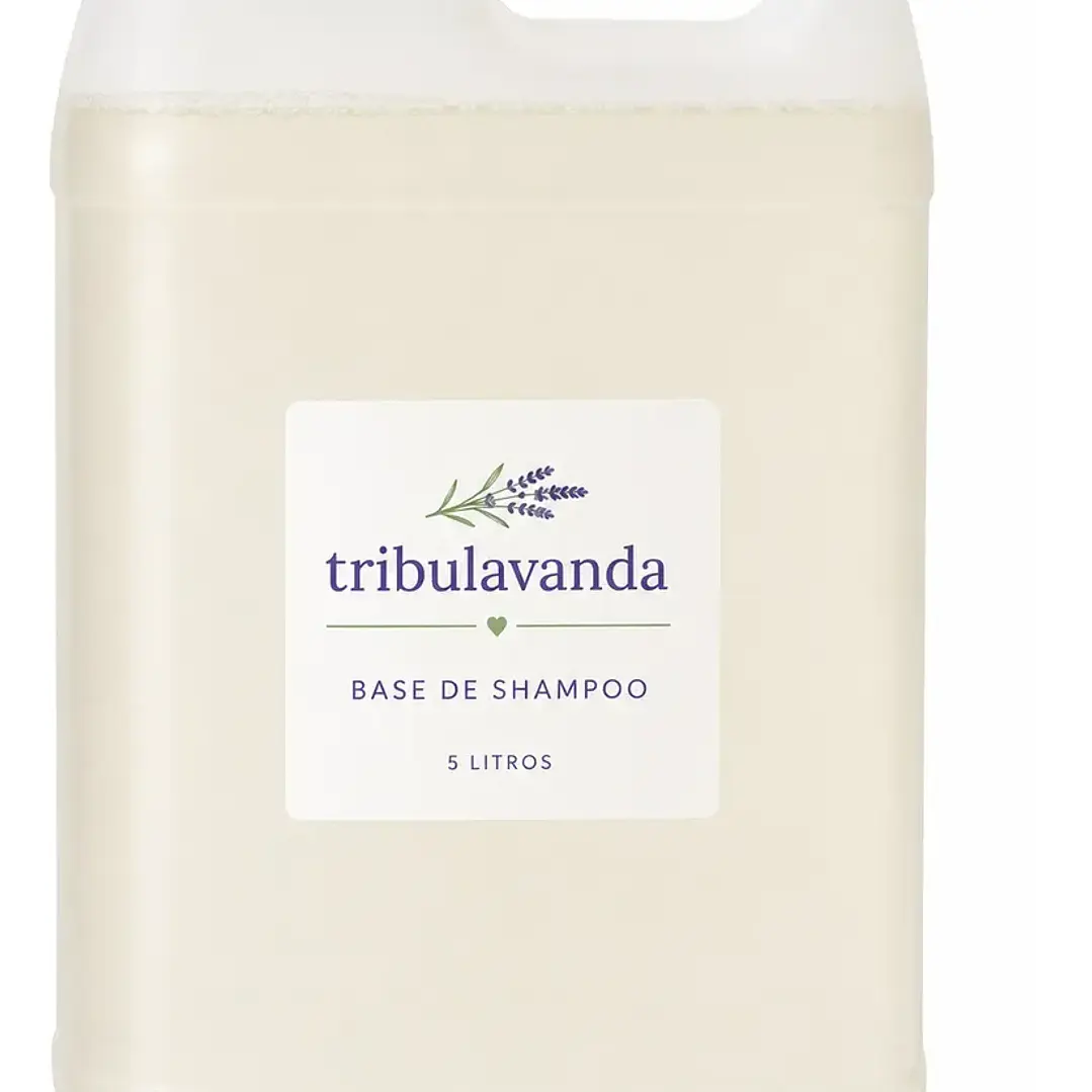 Base de Shampoo Lt y 5 lT 2