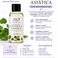 EXTRACTO DE CENTELLA ASIÁTICA 30 ML Y 100 ML - Miniatura 2