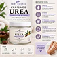 Crema Regeneradora Urea, jojoba y vitamina e. - Miniatura 1