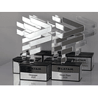 Galardón personalizado con acrílico espejado  28 cm Latam airlines 1