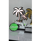 Trofeo torneo Las Palmas Pro Tour 2025 2