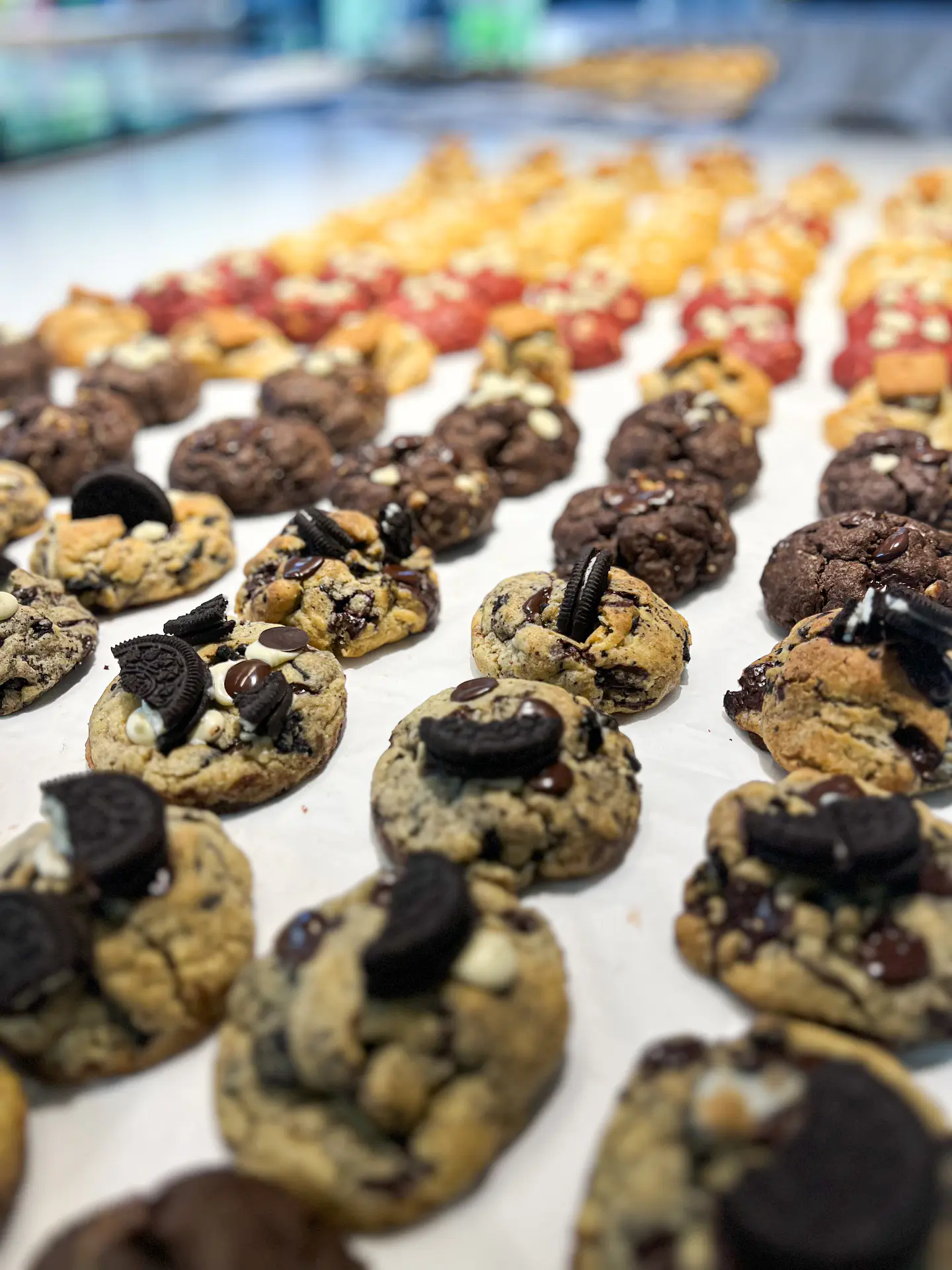 Taller de galletas NY 2