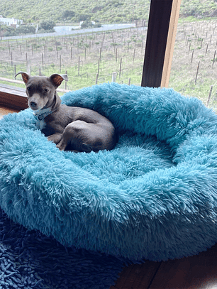 Cama Antiestress de Felpa para Mascotas L - 70 cm