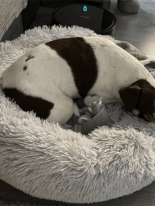 Cama Antiestress de Felpa para Mascotas M - 60 cm