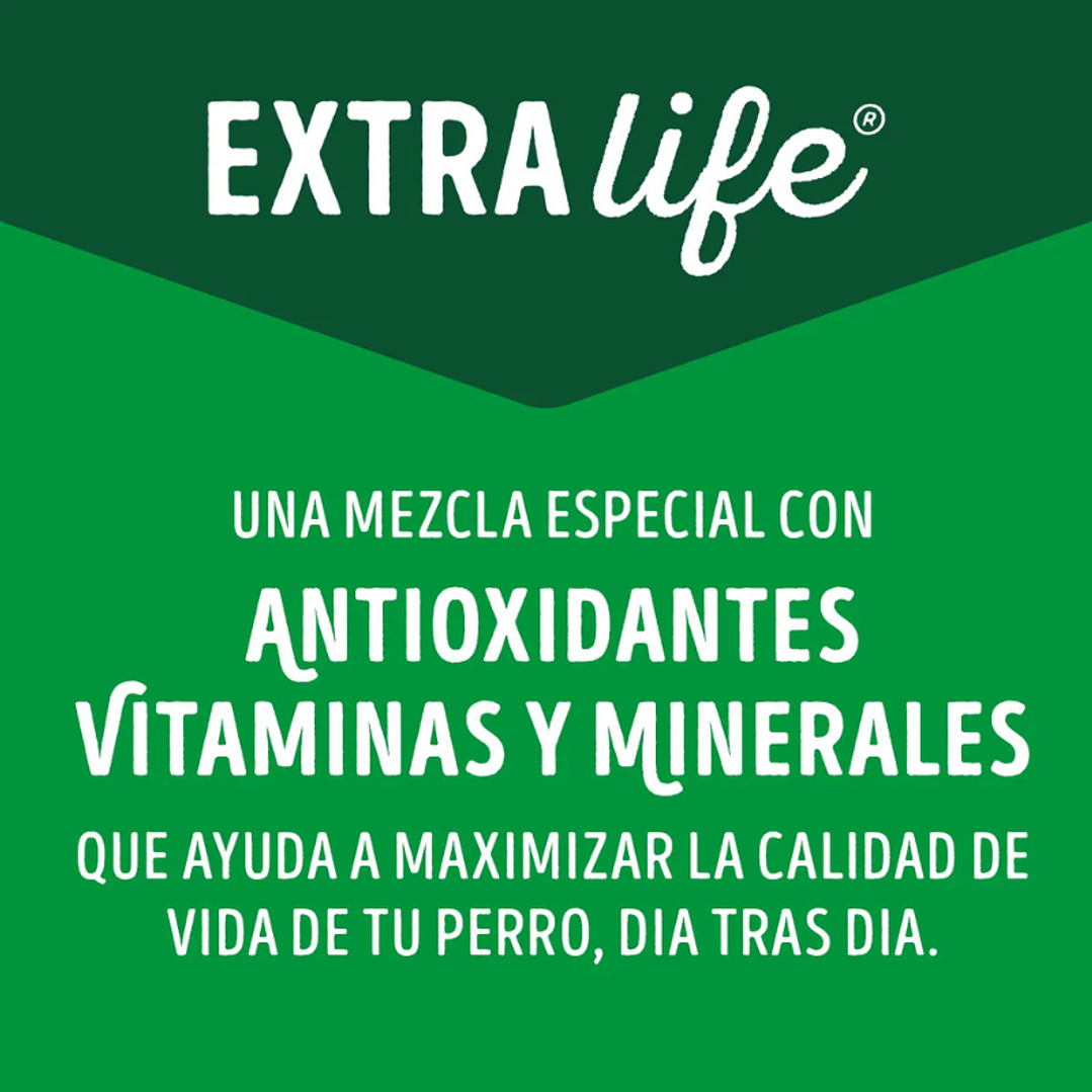 Sachet Dog Chow Adulto Sabor Pollo 100 gr 3