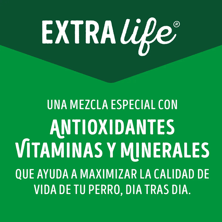 Sachet Dog Chow Adulto Sabor Pollo 100 gr 3