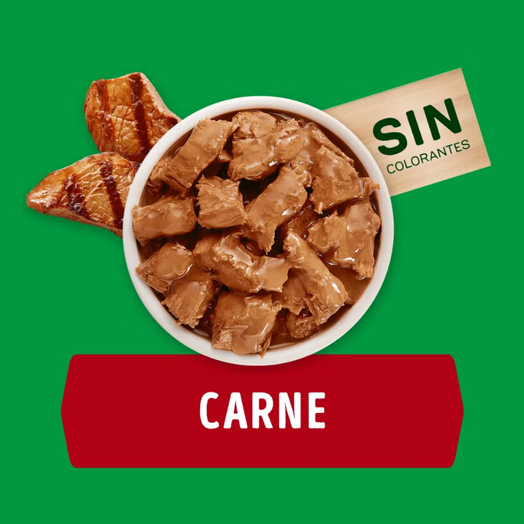 Sachet Dog Chow Cachorro Sabor Carne 100 gr 2