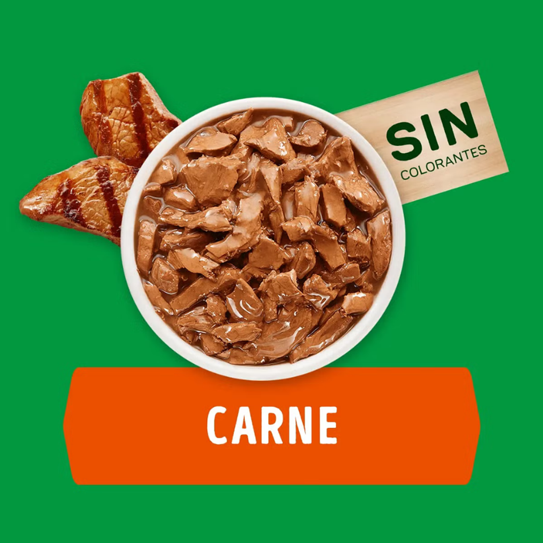 Sachet Dog Chow Adulto Minis y Pequeños Sabor Carne 100 gr 2