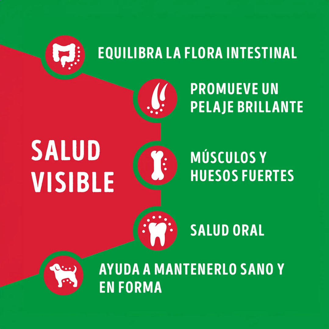 Dog Chow Adulto Razas Medianas y Grandes con Carne y Pollo 16,5 kg 4