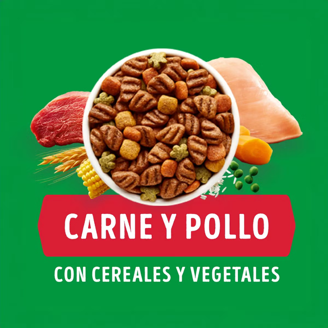 Dog Chow Adulto Razas Medianas y Grandes con Carne y Pollo 16,5 kg 2