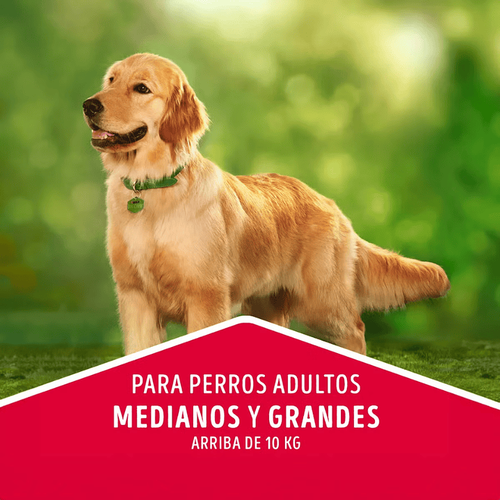 Dog Chow Adulto Razas Medianas y Grandes con Carne y Pollo 16,5 kg 3