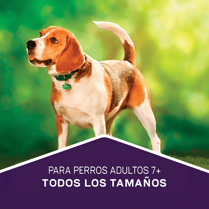 Dog Chow Longevidad Senior Todos los Tamaños 16,5 kg 3