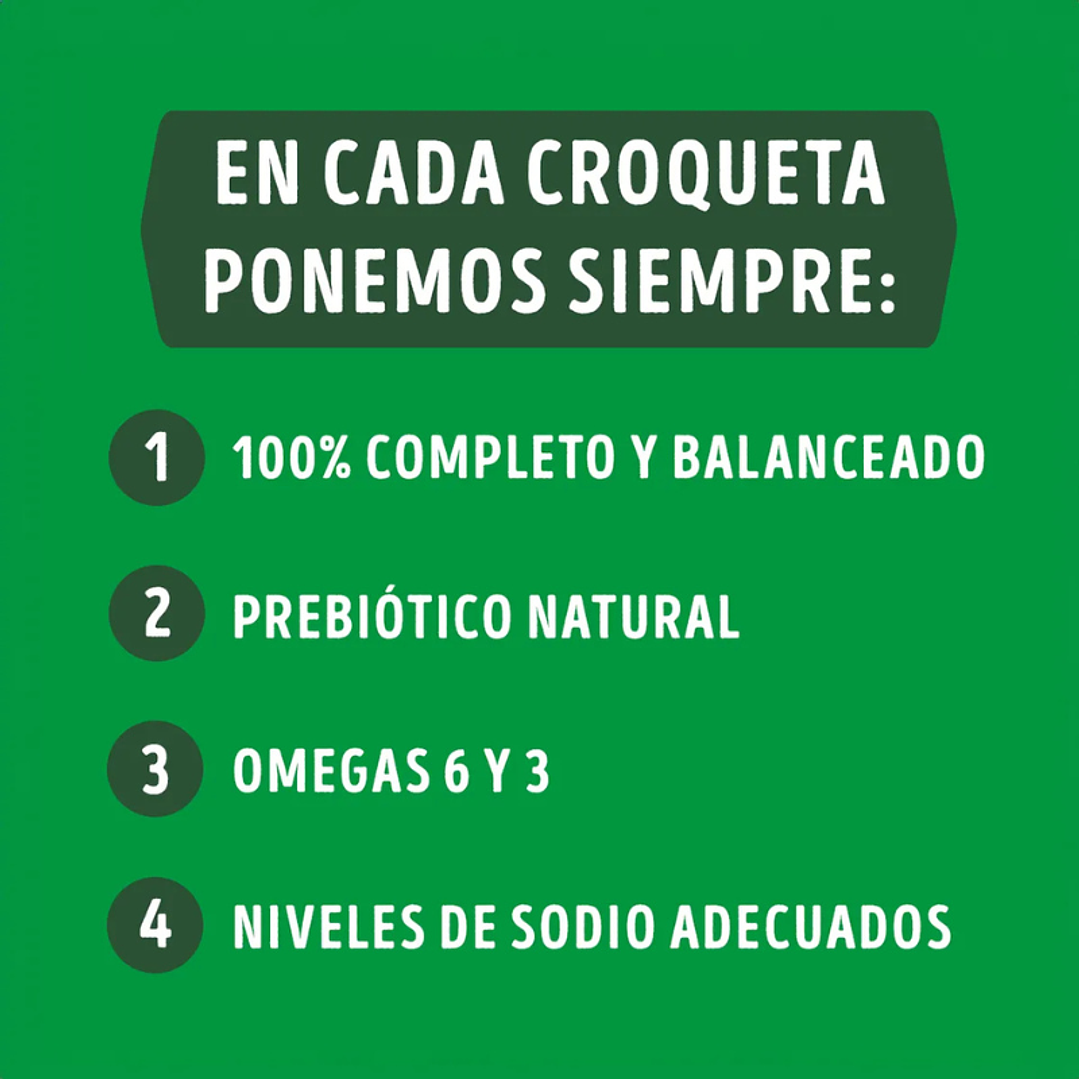 Dog Chow Longevidad Senior Todos los Tamaños 16,5 kg 5