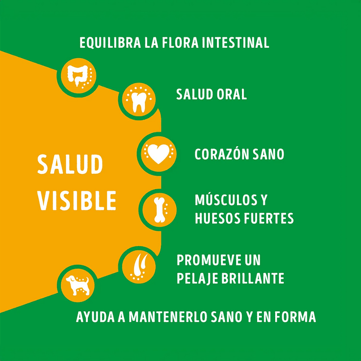 Dog Chow Adulto Razas Minis y Pequeñas Sabor Carne y Pollo 16,5 kg 4