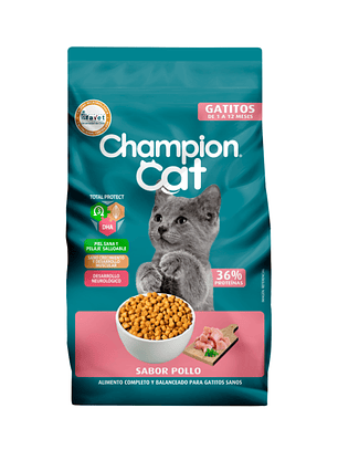 Champion Cat Gatitos 20 kg