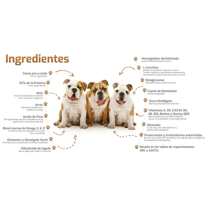 Bokato Cachorro 10 kg 2