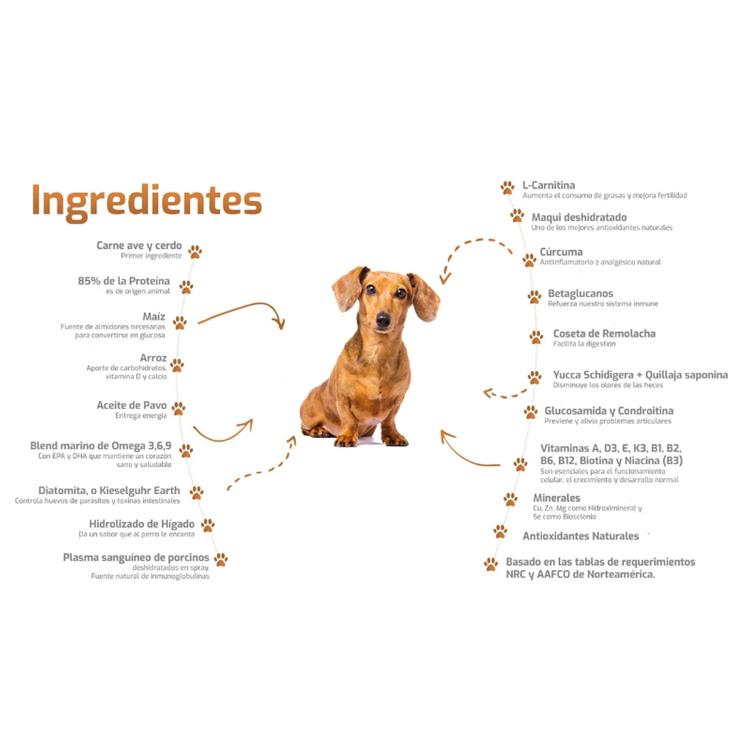 Bokato Petit Adulto Raza Pequeña 10 kg 2