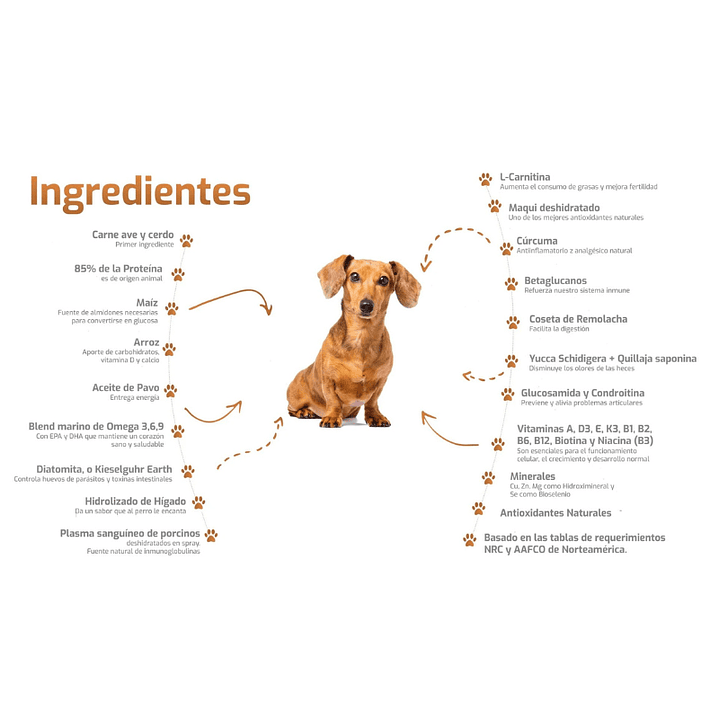 Bokato Petit Adulto Raza Pequeña 10 kg 2