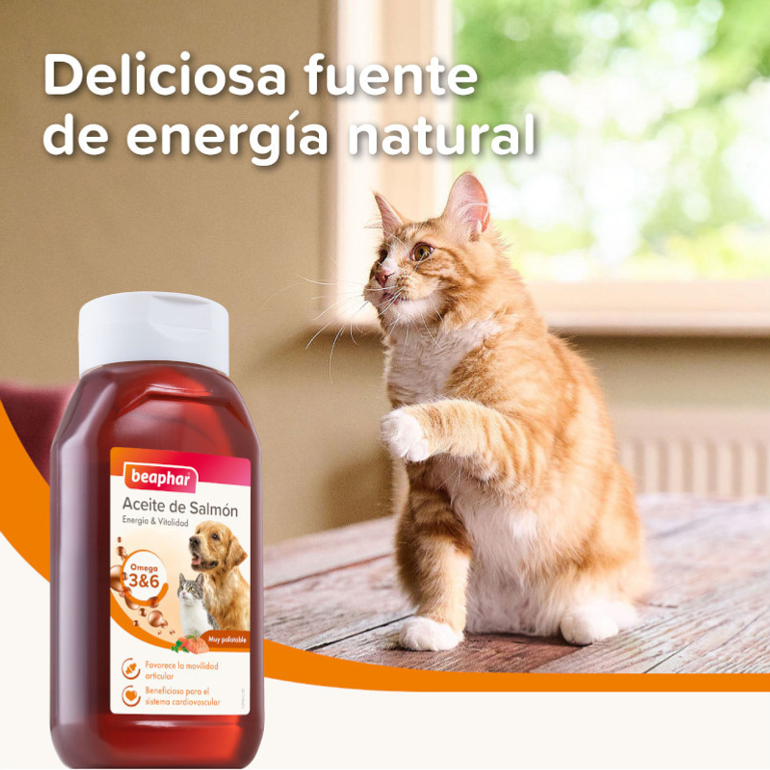 Aceite de Salmón para Perro y Gato Beaphar 430 ml 4