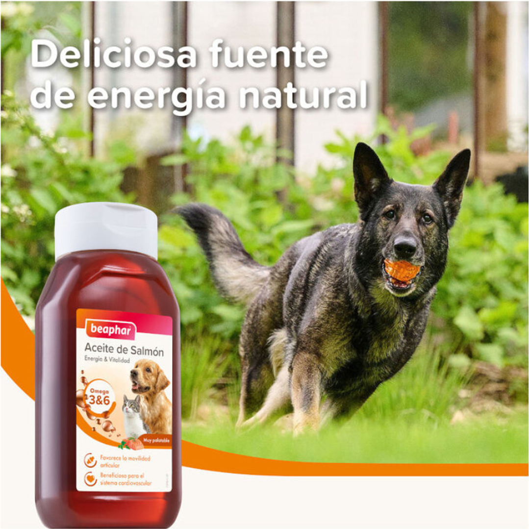 Aceite de Salmón para Perro y Gato Beaphar 430 ml 5