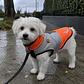 Parka Reflectante impermeable LampStand para perros Talla L - Miniatura 1