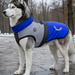 Parka Reflectante impermeable LampStand para perros Talla 6XL - Miniatura 1