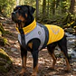 Parka Reflectante impermeable LampStand para perros Talla 6XL - Miniatura 2