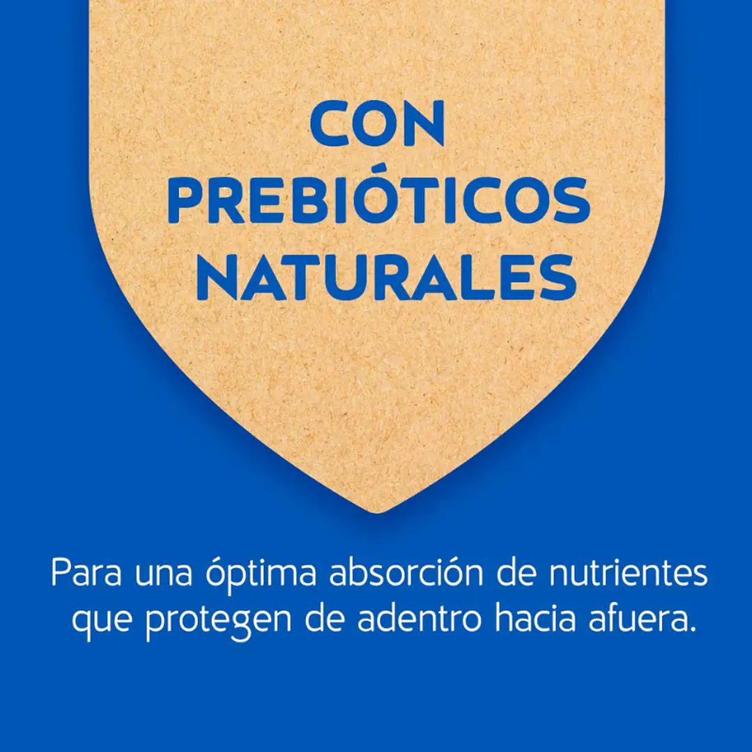 Cat Chow Adultos Sabor Pescado 8 kg 3