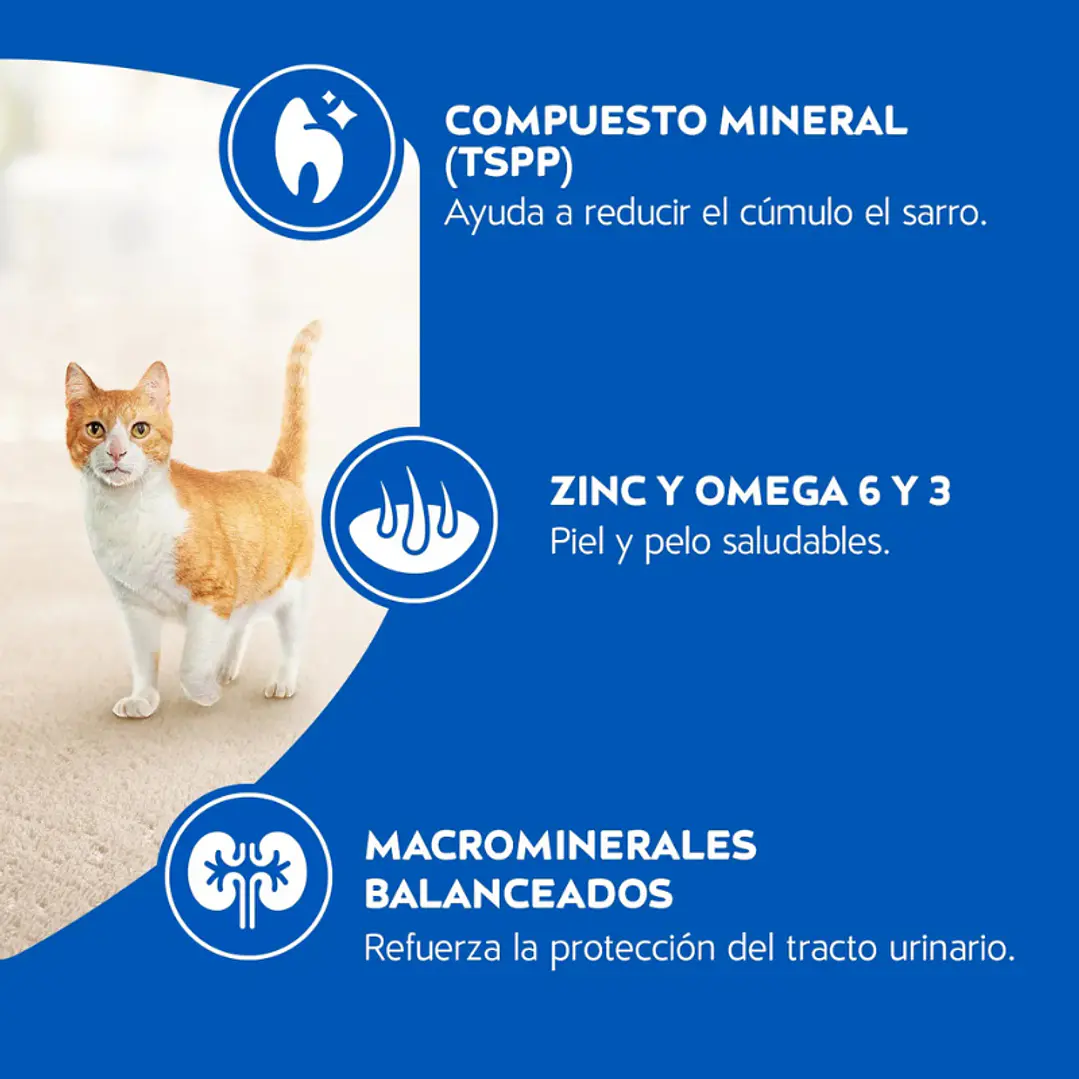 Cat Chow Adultos Sabor Pescado 8 kg 4