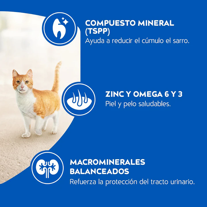 Cat Chow Adultos Sabor Pescado 8 kg 4