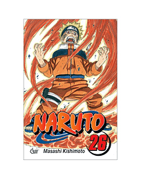 Naruto 26: DESPERTAR