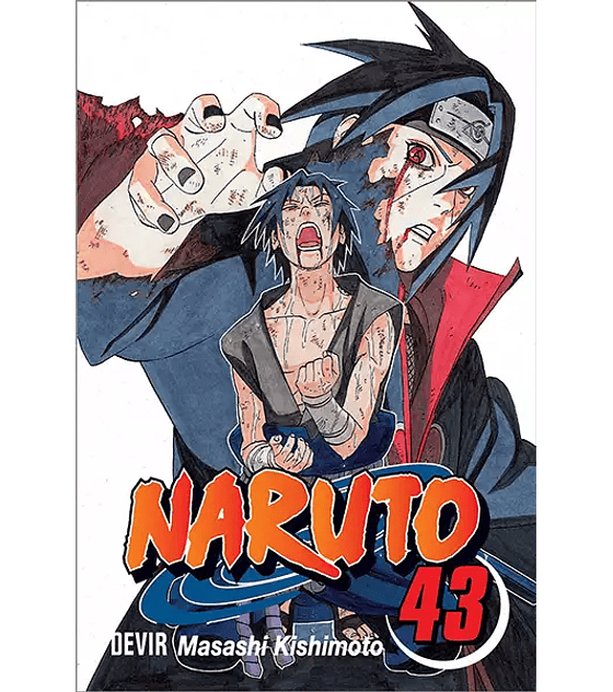 Naruto 43: O portador da verdade