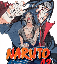Naruto 43: O portador da verdade