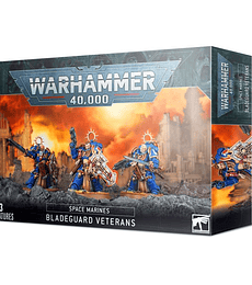 Warhammer 40k: Bladeguard Veterans