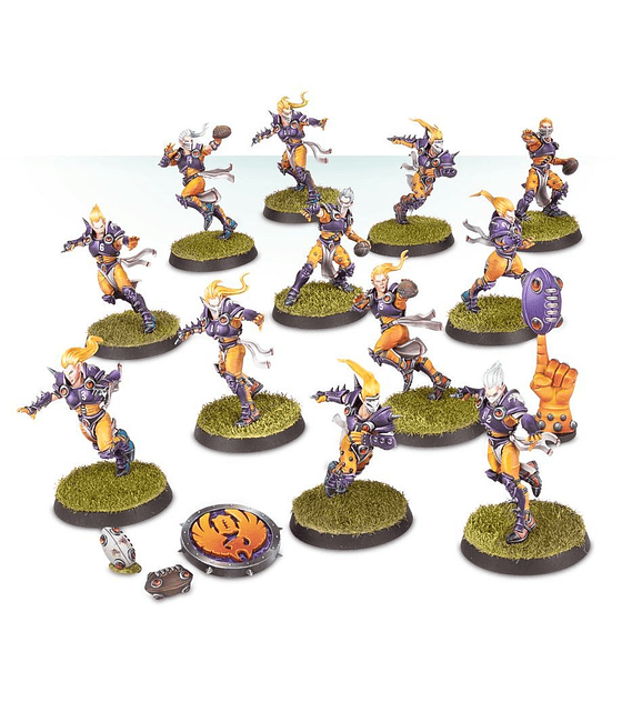 The Elfheim Eagles Blood Bowl Team
