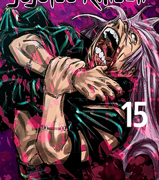 Jujutsu Kaisen 15